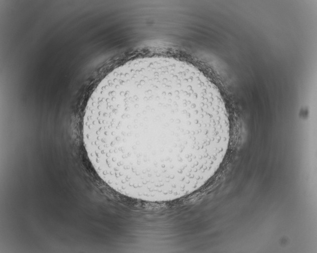 X0000116651062201001251152