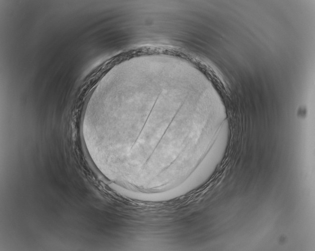 X0000116651064201001251152