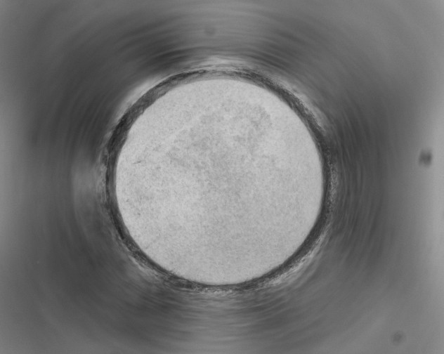 X0000116651066201001251152