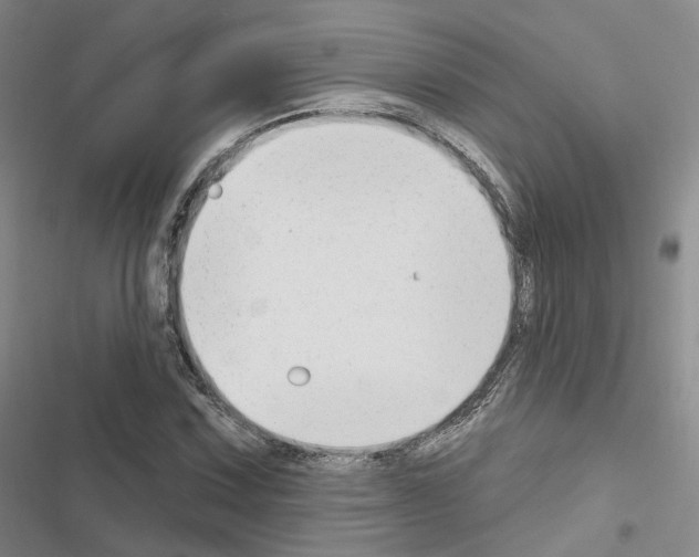 X0000116651067201001251152