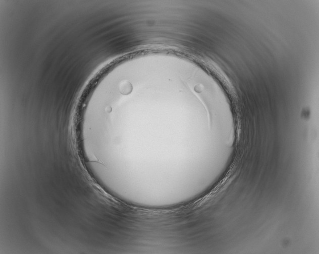 X0000116651068201001251152