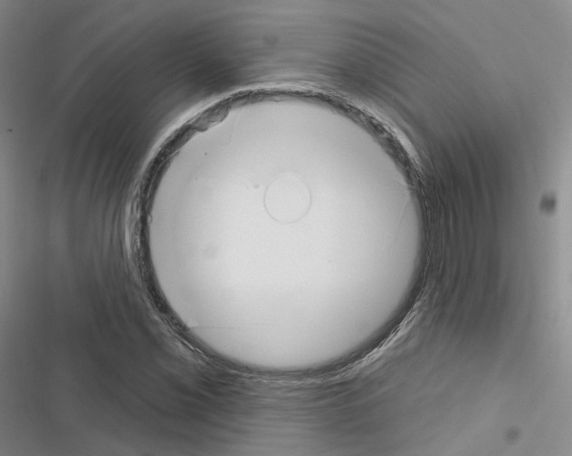 X0000116651069201001251152