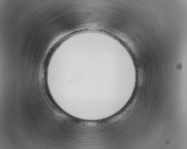X0000116651070201001251152