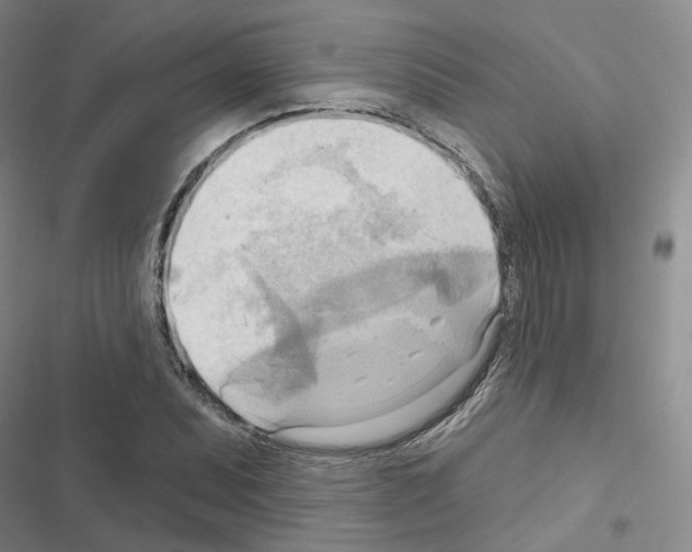 X0000116651071201001251152