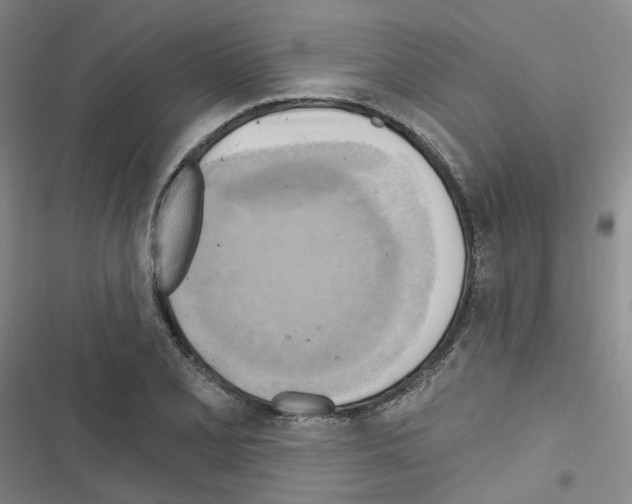 X0000116651077201001251152