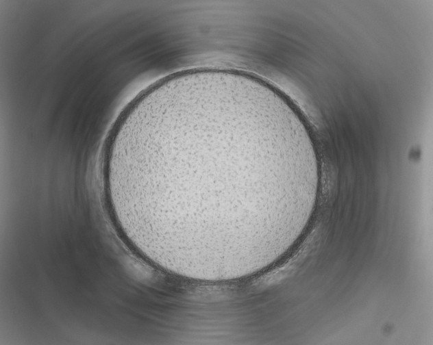 X0000116651078201001251152