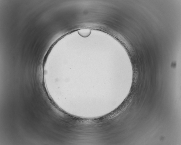 X0000116651079201001251152