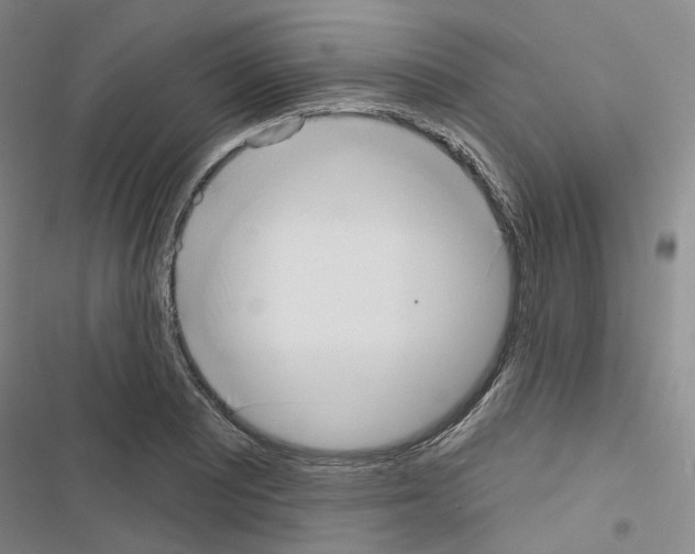 X0000116651081201001251152