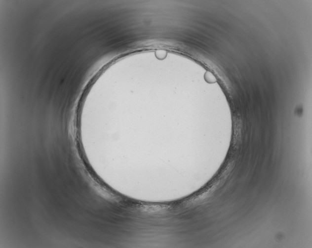 X0000116651082201001251152
