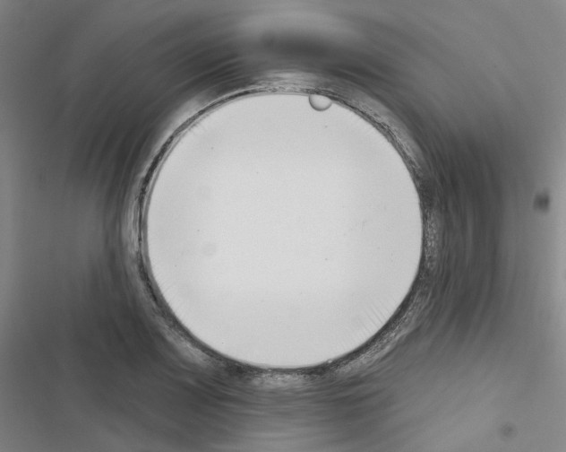 X0000116651083201001251152