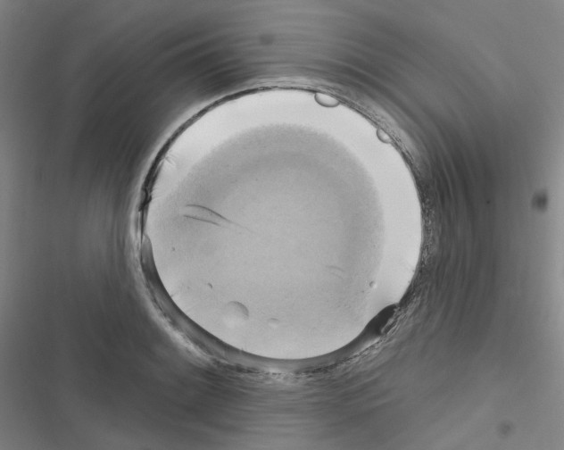 X0000116651084201001251152