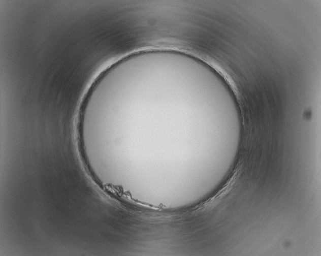 X0000116651085201001251152