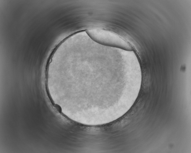 X0000116651088201001251152