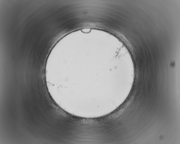X0000116651089201001251152