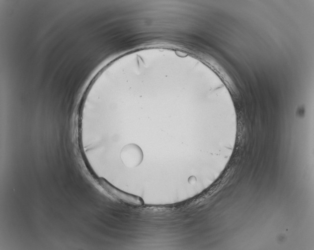 X0000116651092201001251152