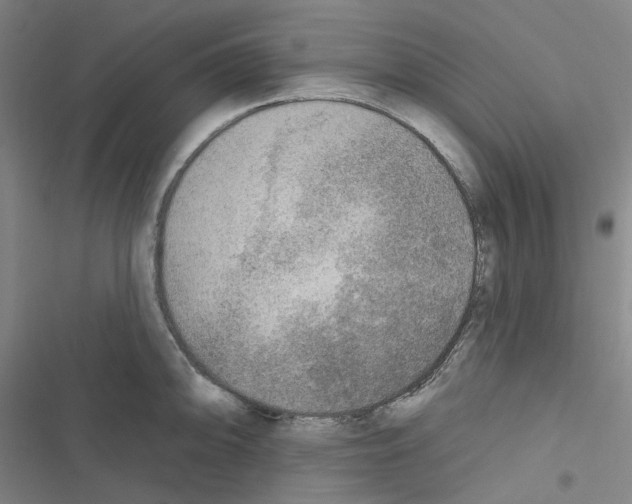 X0000116651094201001251152