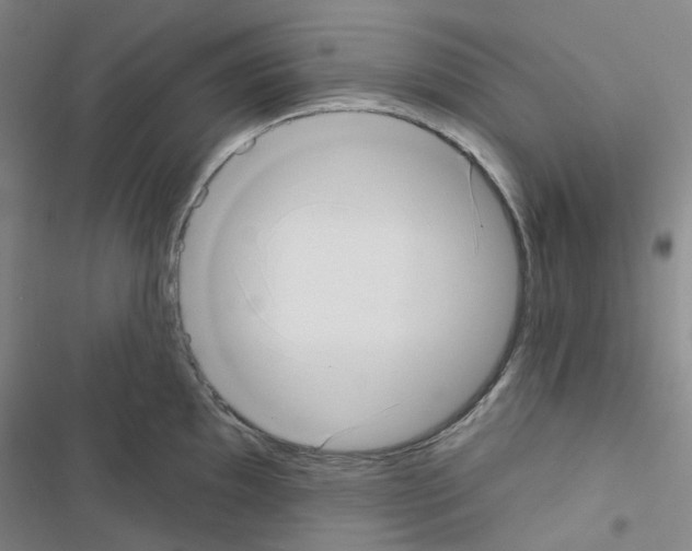 X0000116651097201001251152