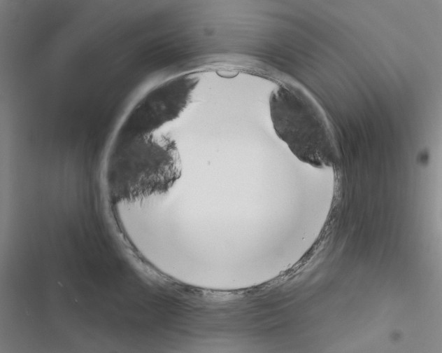 X0000116651099201001251152