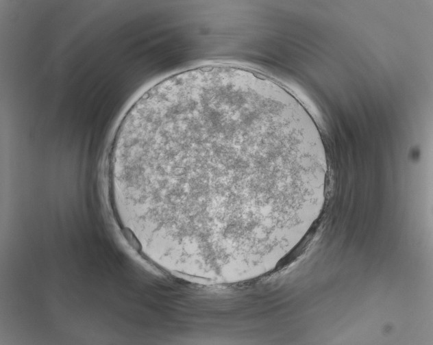 X0000116651100201001251151