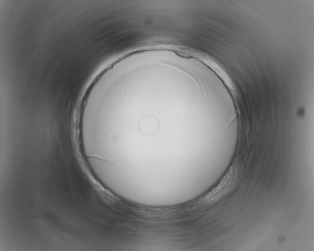 X0000116651101201001251151