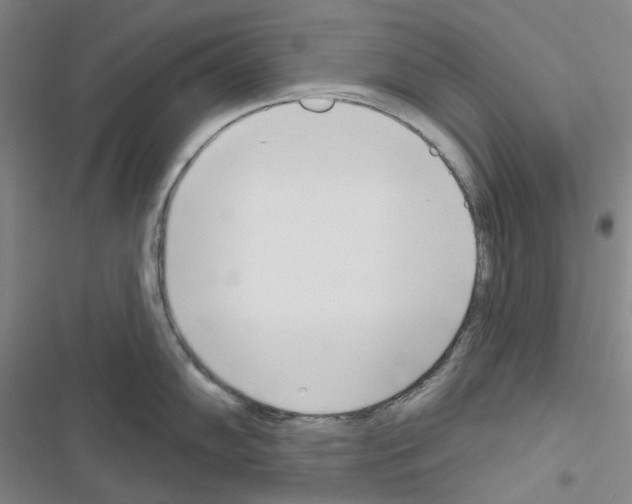 X0000116651102201001251151