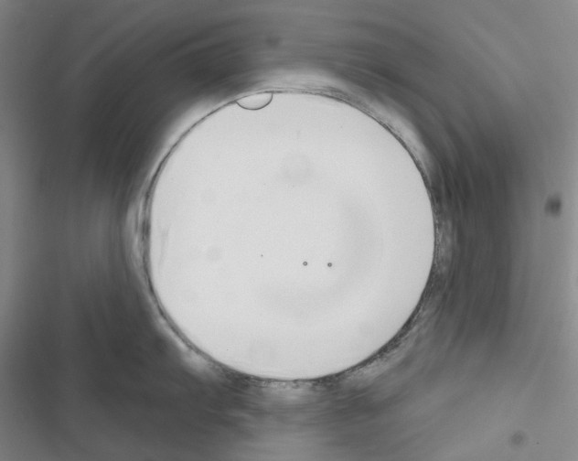 X0000116651103201001251151