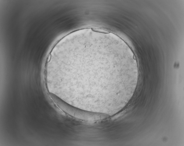 X0000116651104201001251151