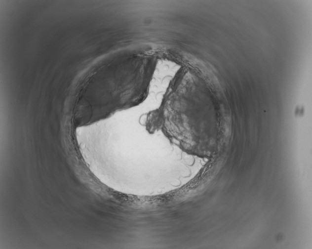 X0000116651105201001251151