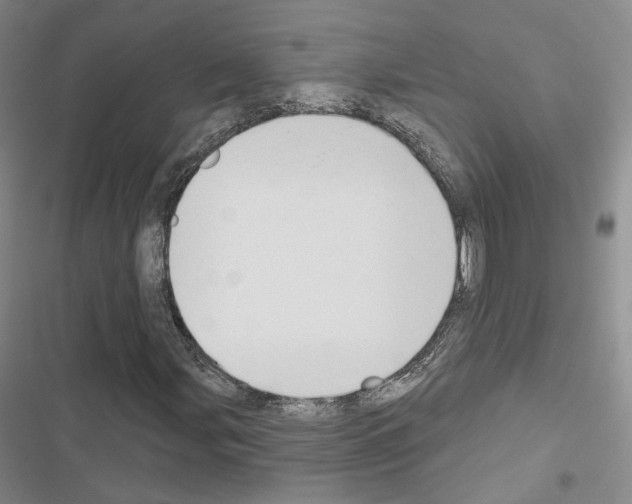 X0000116651107201001251151