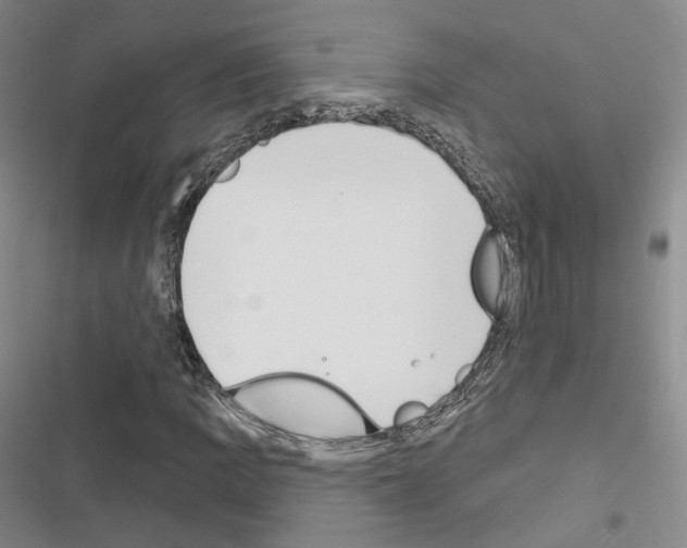 X0000116651109201001251151