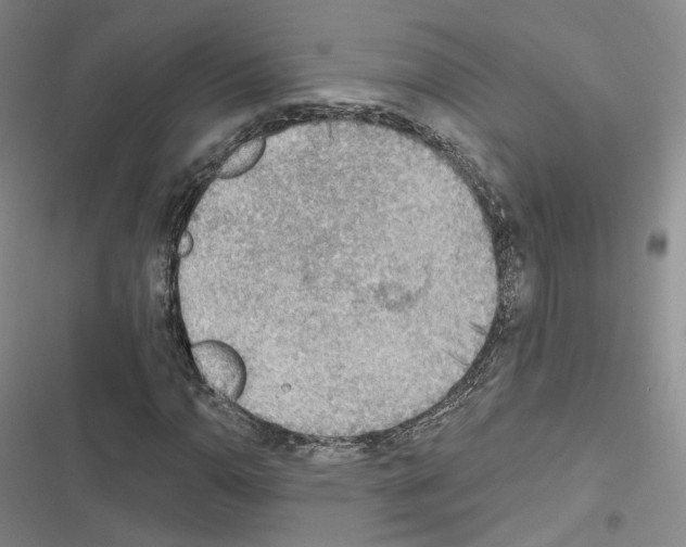 X0000116651110201001251151