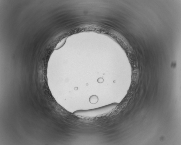 X0000116651111201001251151
