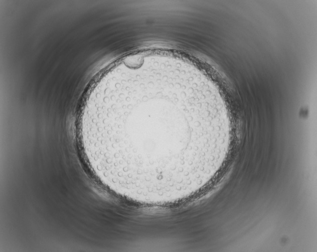 X0000116651113201001251151