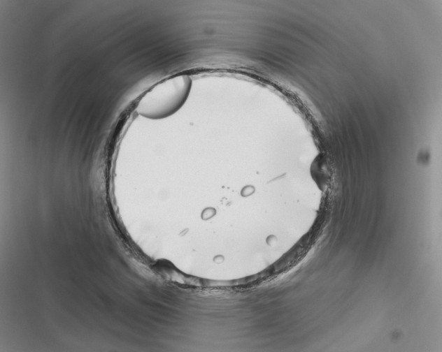 X0000116651114201001251151