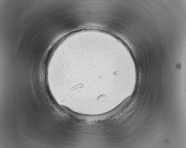 X0000116651115201001251151