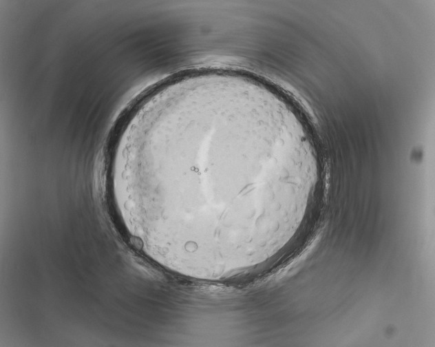 X0000116651117201001251151