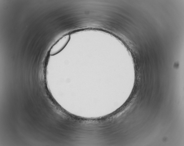 X0000116651118201001251151