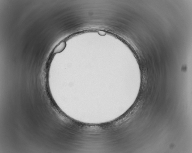 X0000116651119201001251151
