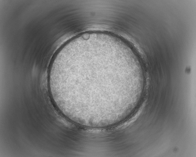 X0000116651121201001251151