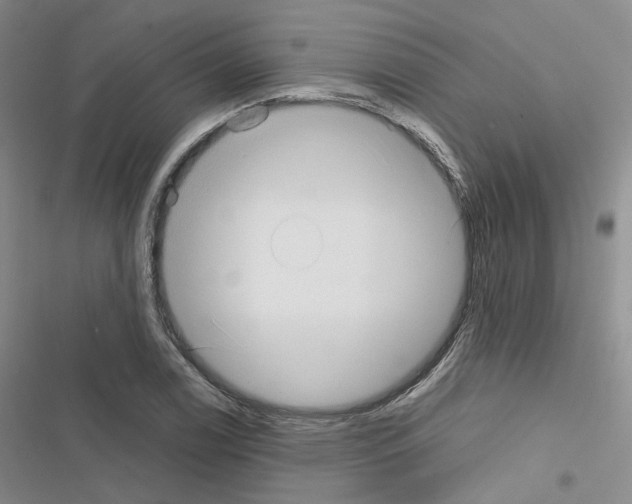 X0000116651122201001251151