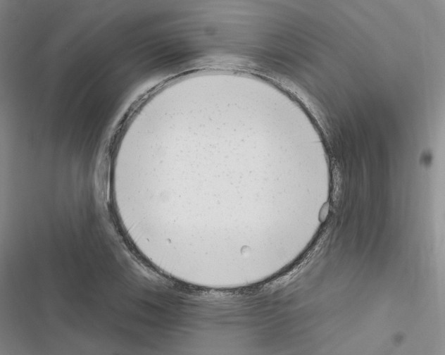 X0000116651123201001251151