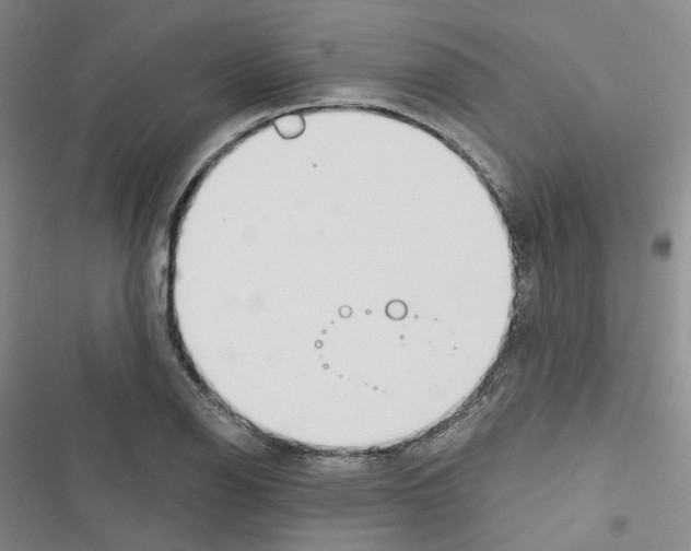 X0000116651126201001251151