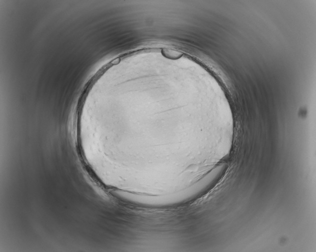 X0000116651127201001251151