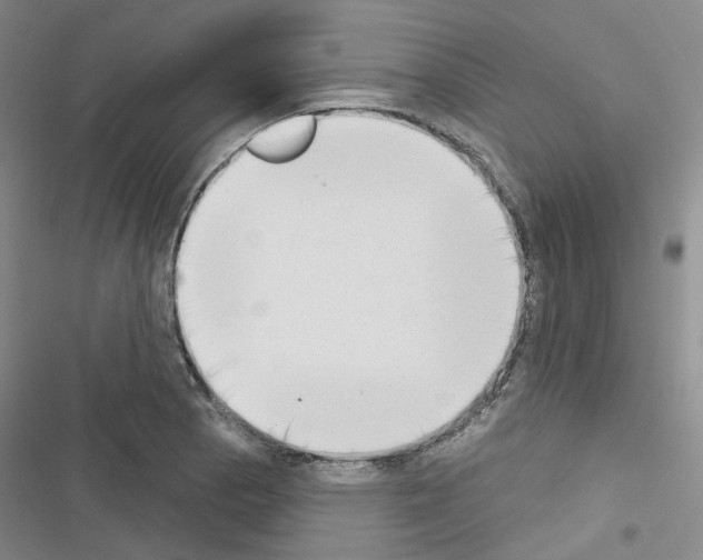 X0000116651129201001251151