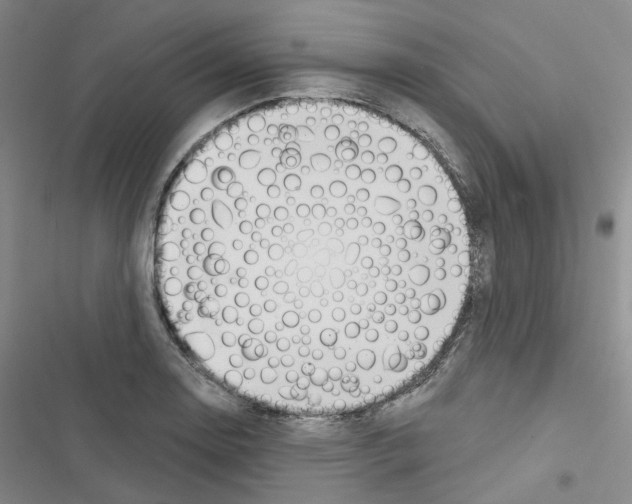 X0000116651130201001251151