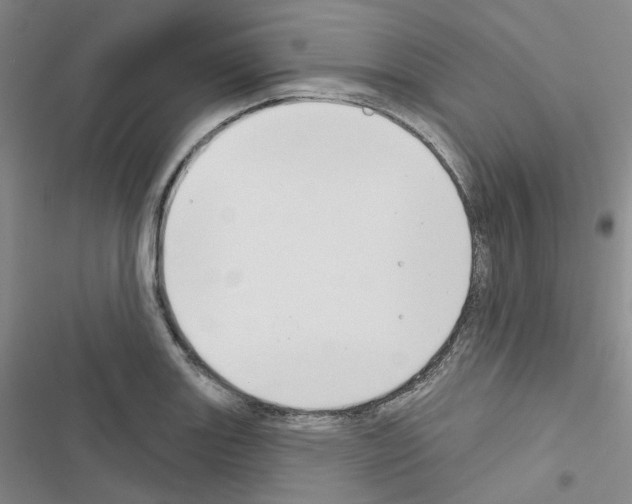 X0000116651131201001251151
