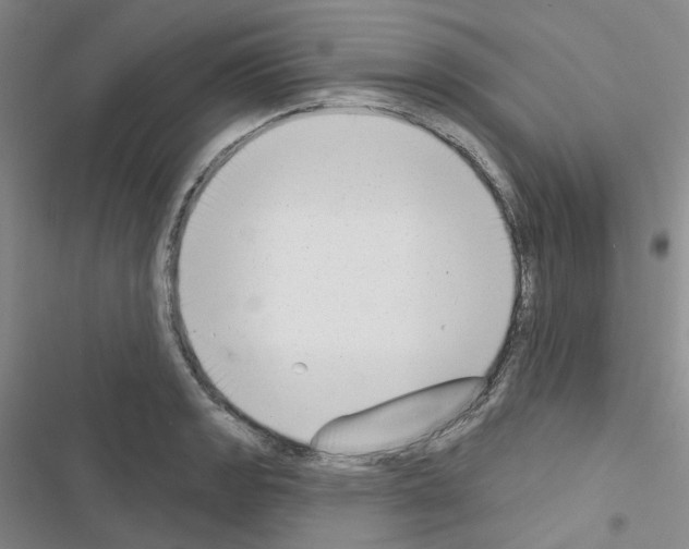 X0000116651133201001251151