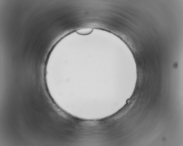 X0000116651134201001251151