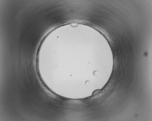 X0000116651135201001251151
