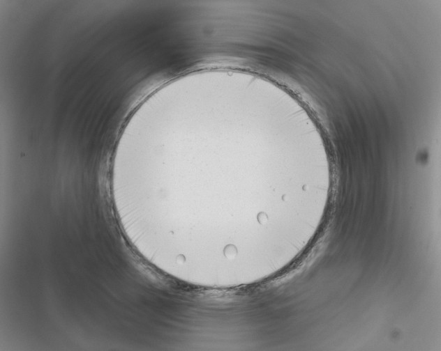 X0000116651137201001251151